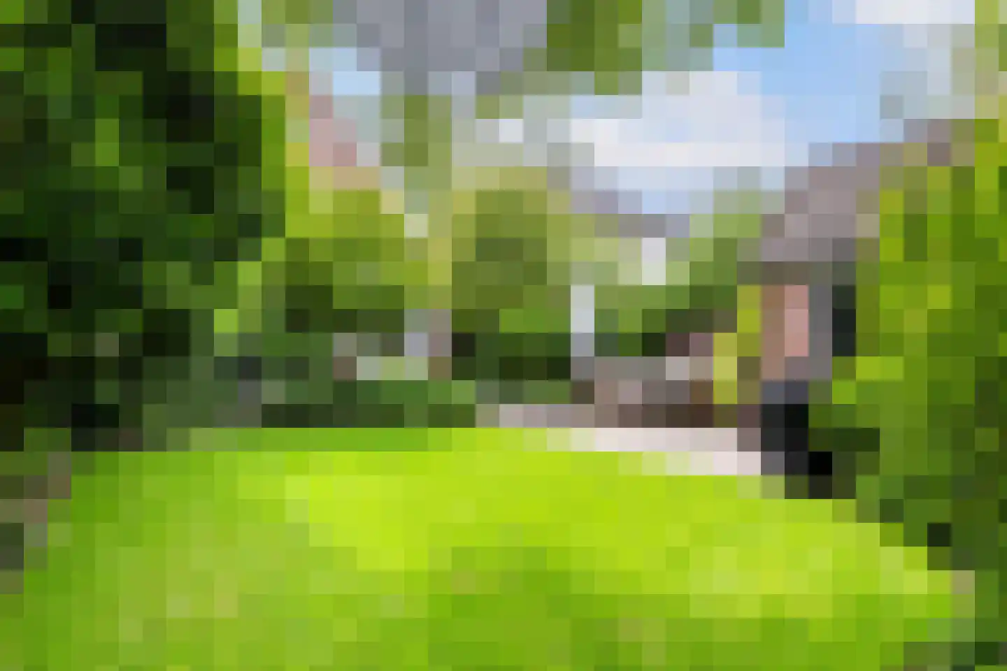 Bosweg 66 Apeldoorn thumbnail 32