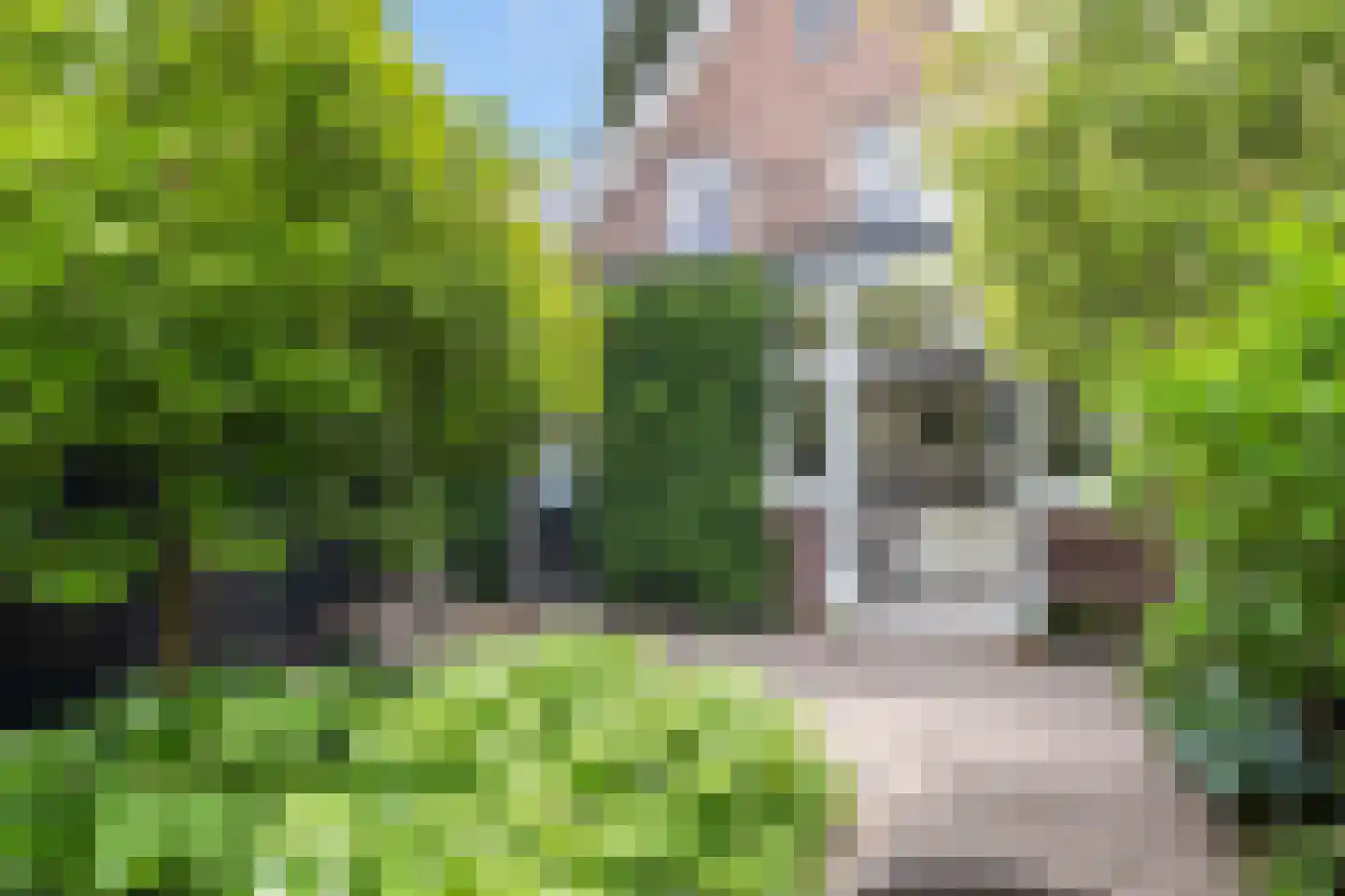 Bosweg 66 Apeldoorn thumbnail 34