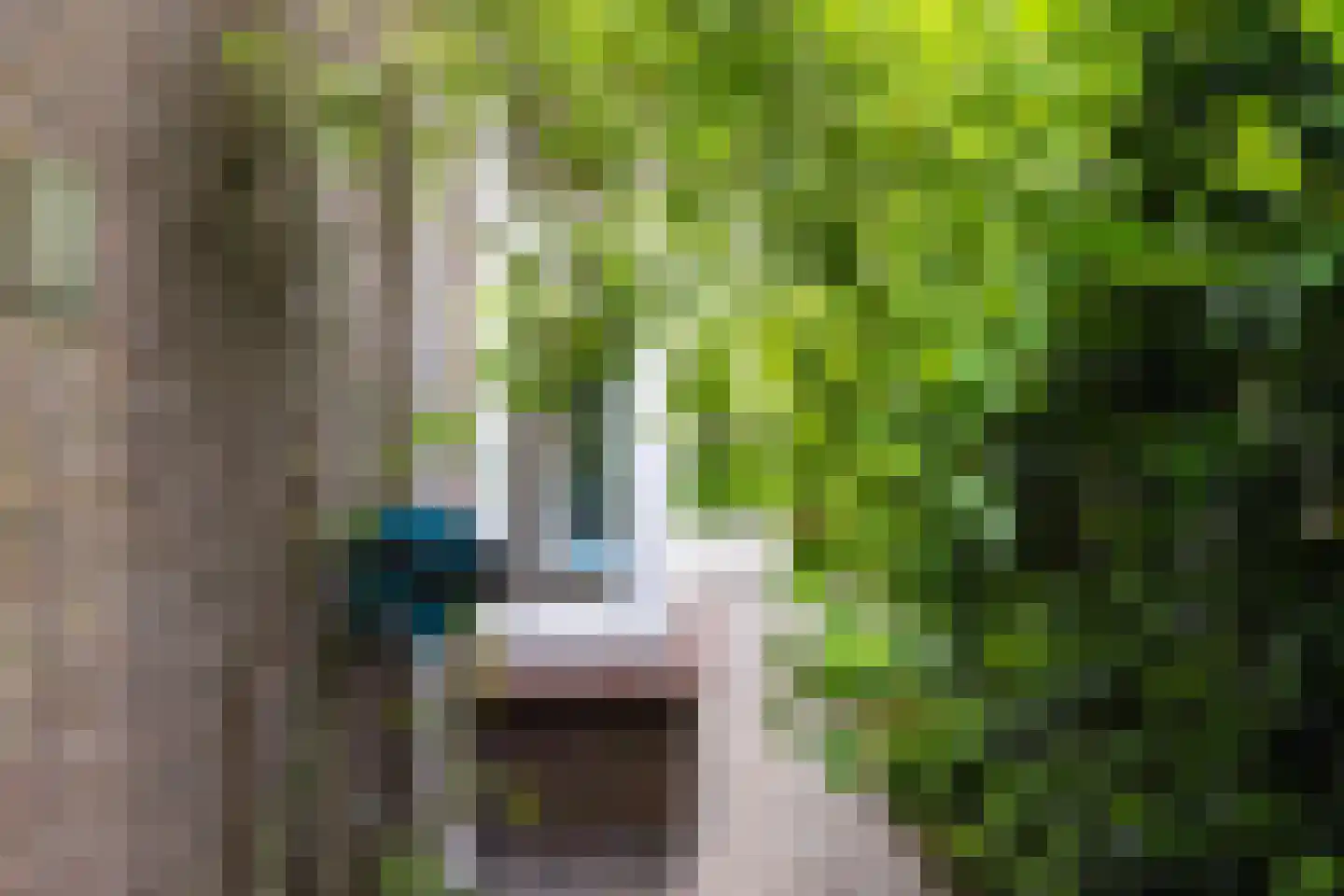 Bosweg 66 Apeldoorn thumbnail 35