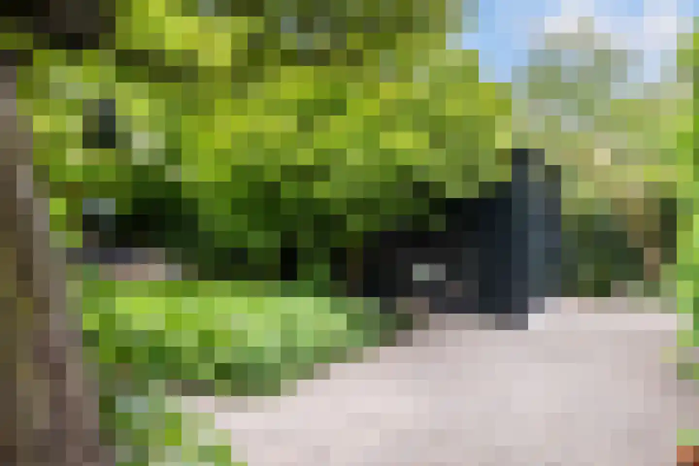 Bosweg 66 Apeldoorn thumbnail 36