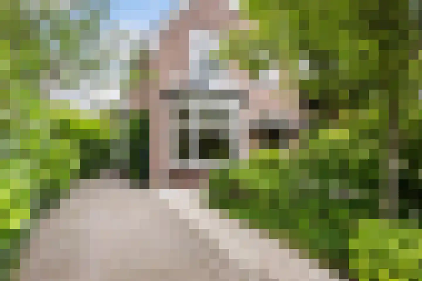 Bosweg 66 Apeldoorn thumbnail 38