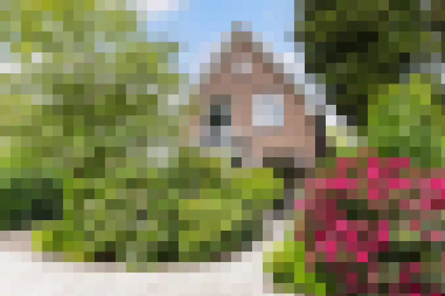 Bosweg 66 Apeldoorn thumbnail 39