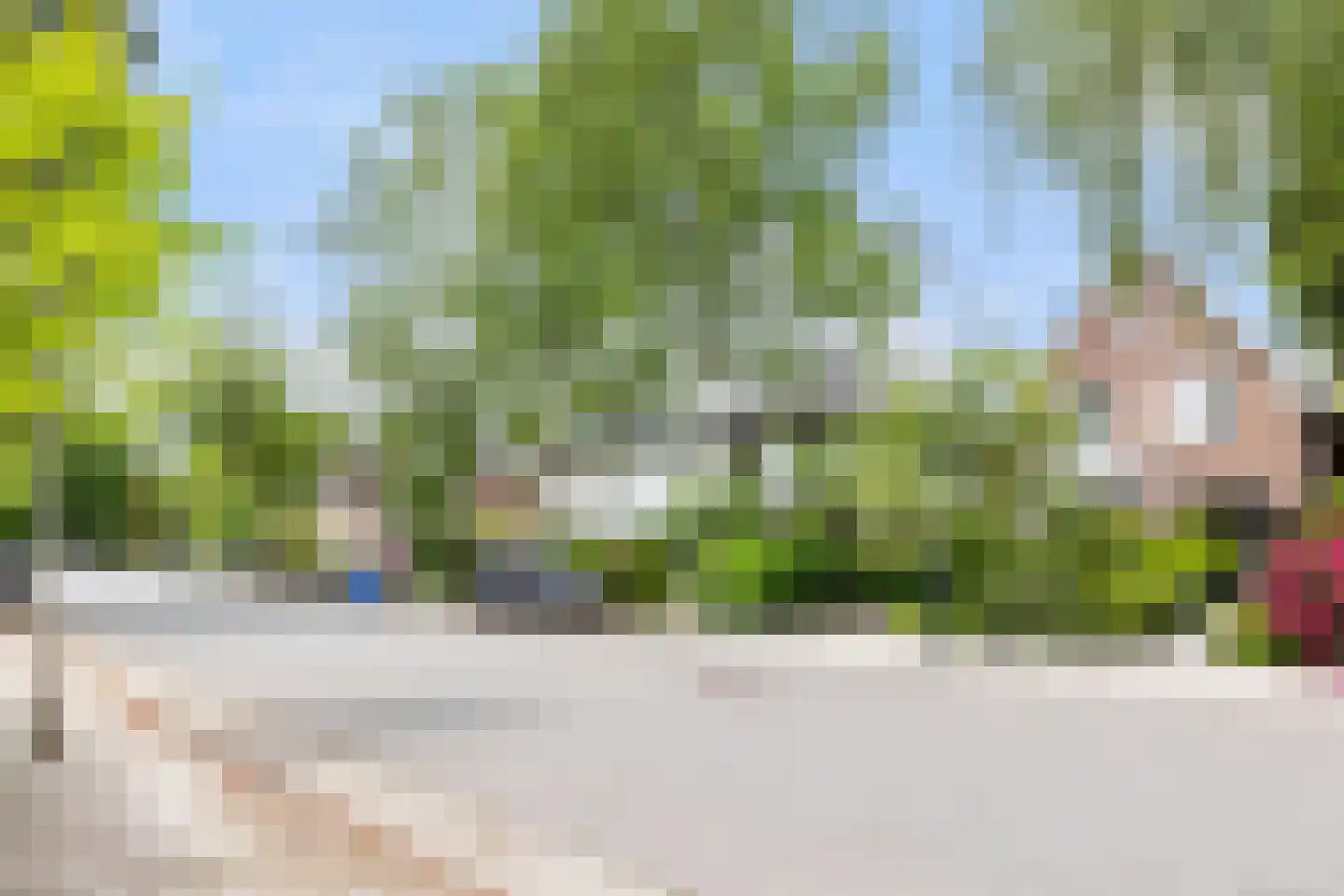 Bosweg 66 Apeldoorn thumbnail 40