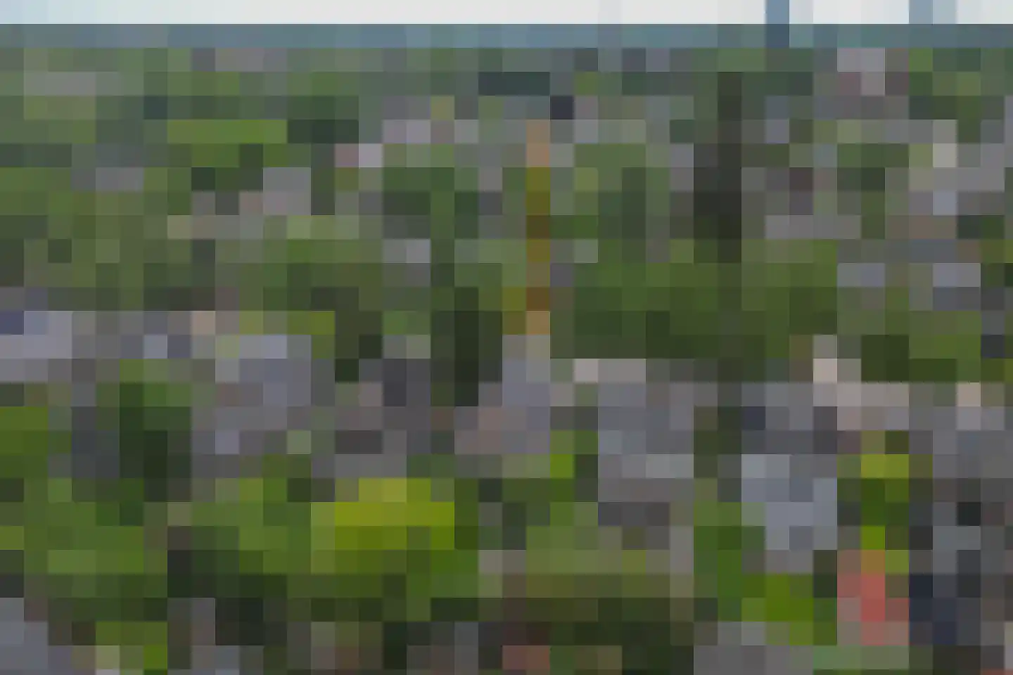 Bosweg 66 Apeldoorn thumbnail 42