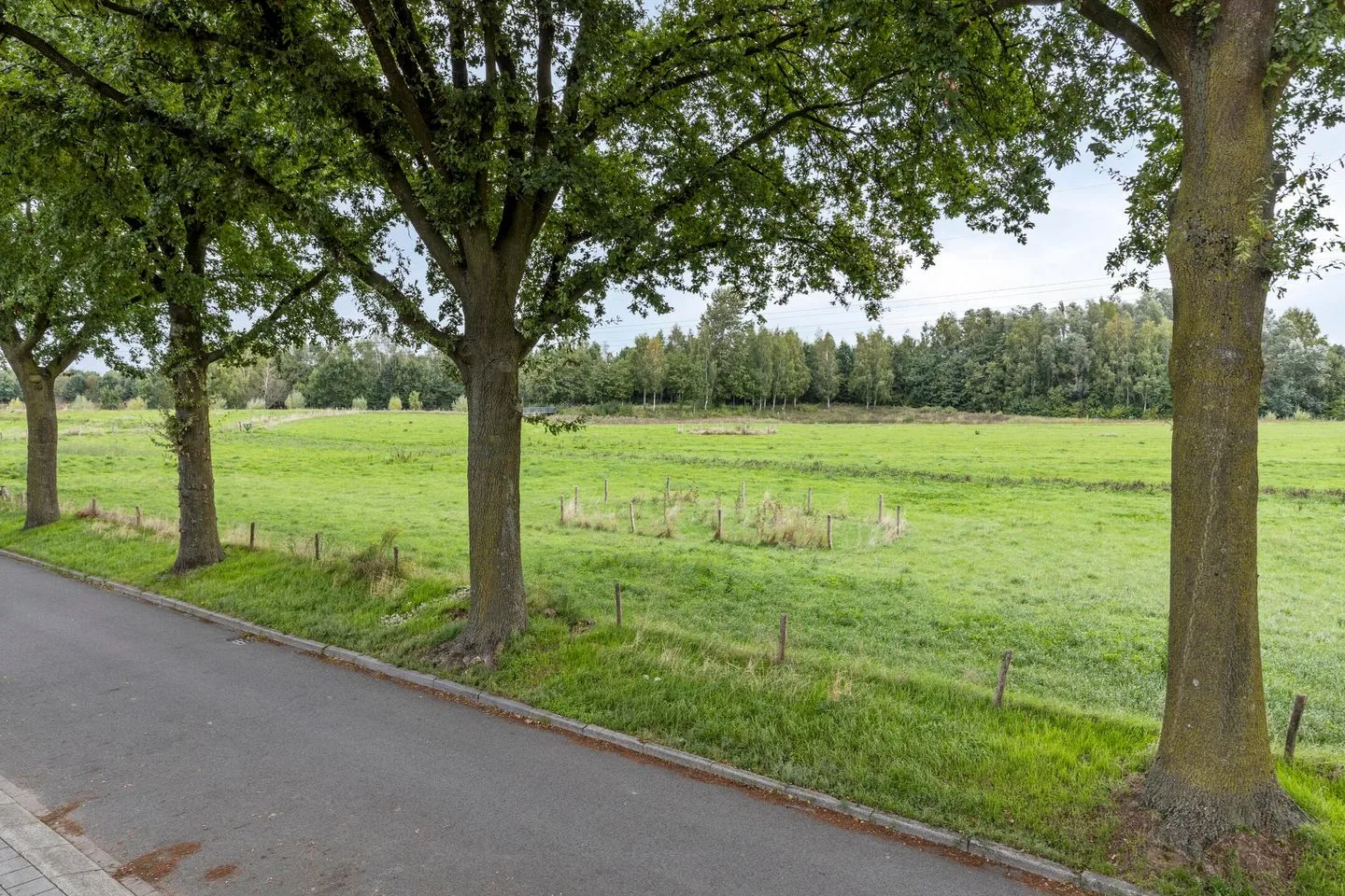Bosweg 69 Geleen thumbnail 5