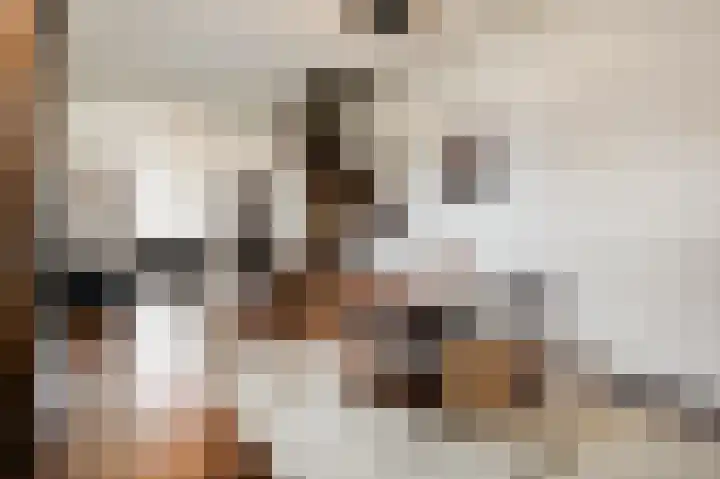 Bosweg 7 Velp thumbnail 15