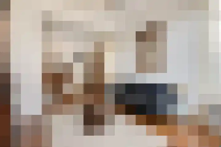 Bosweg 7 Velp thumbnail 19