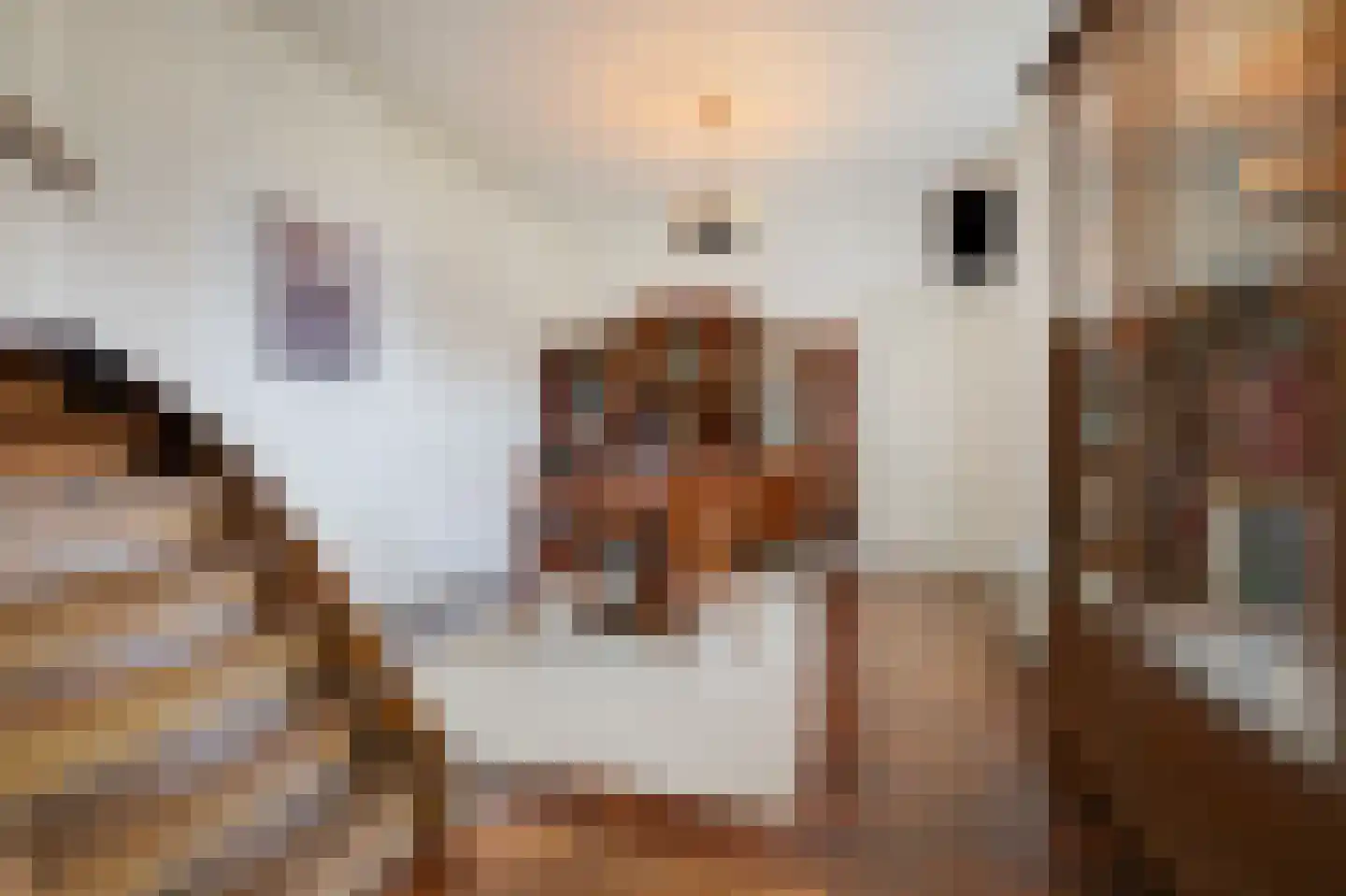 Bosweg 7 Velp thumbnail 20