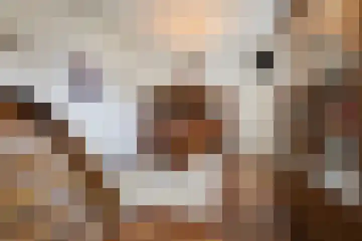 Bosweg 7 Velp thumbnail 20