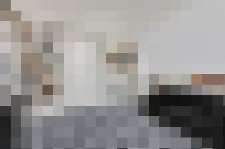 Bosweg 7 Velp thumbnail 26