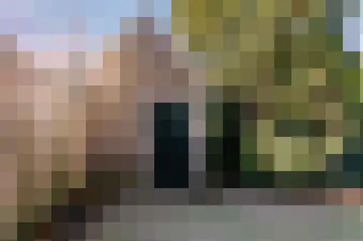 Bosweg 7 Velp thumbnail 36