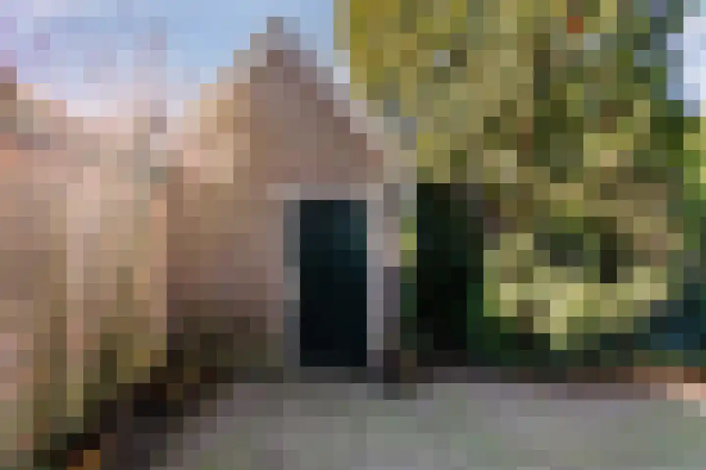 Bosweg 7 Velp thumbnail 36