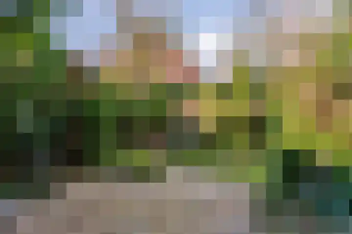 Bosweg 7 Velp thumbnail 37