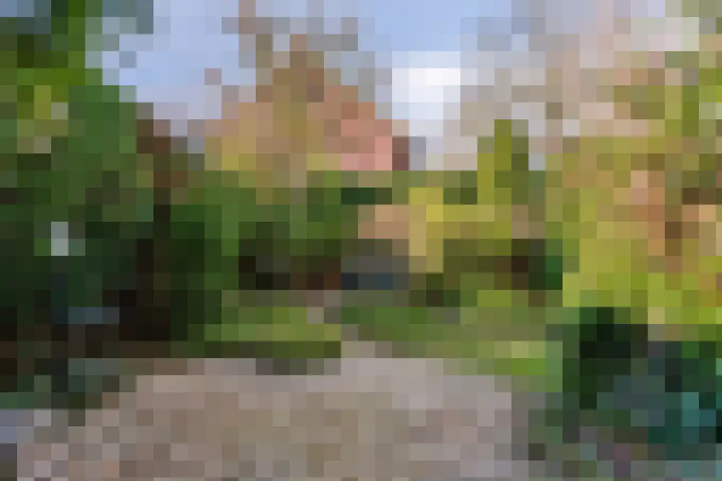 Bosweg 7 Velp thumbnail 37