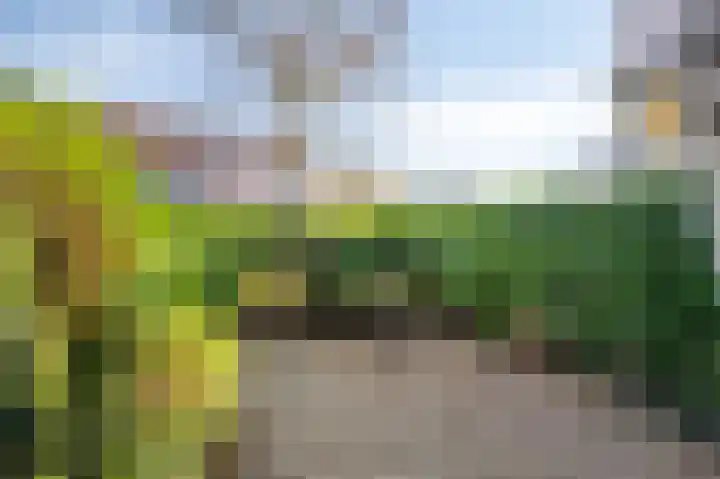 Bosweg 7 Velp thumbnail 39