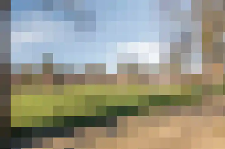 Bosweg 7 Velp thumbnail 41