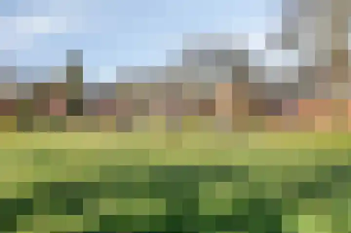 Bosweg 7 Velp thumbnail 42