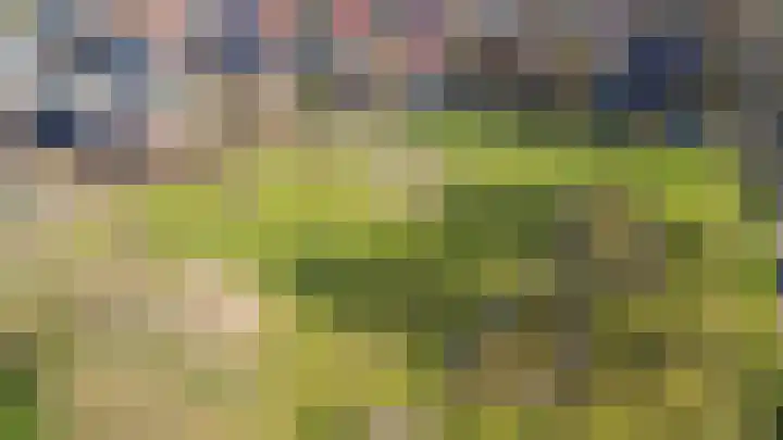 Bosweg 7 Velp thumbnail 43