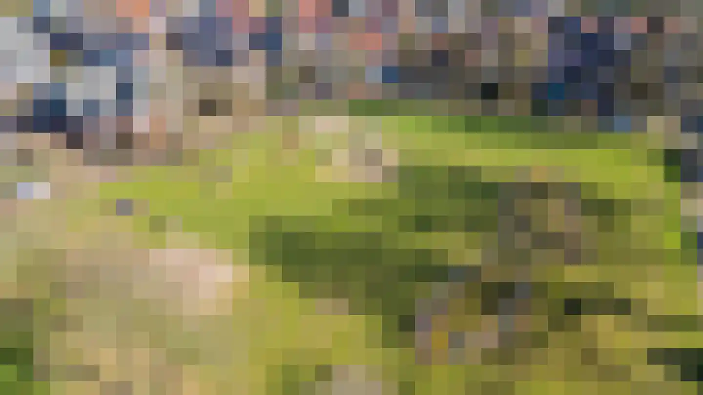 Bosweg 7 Velp thumbnail 43