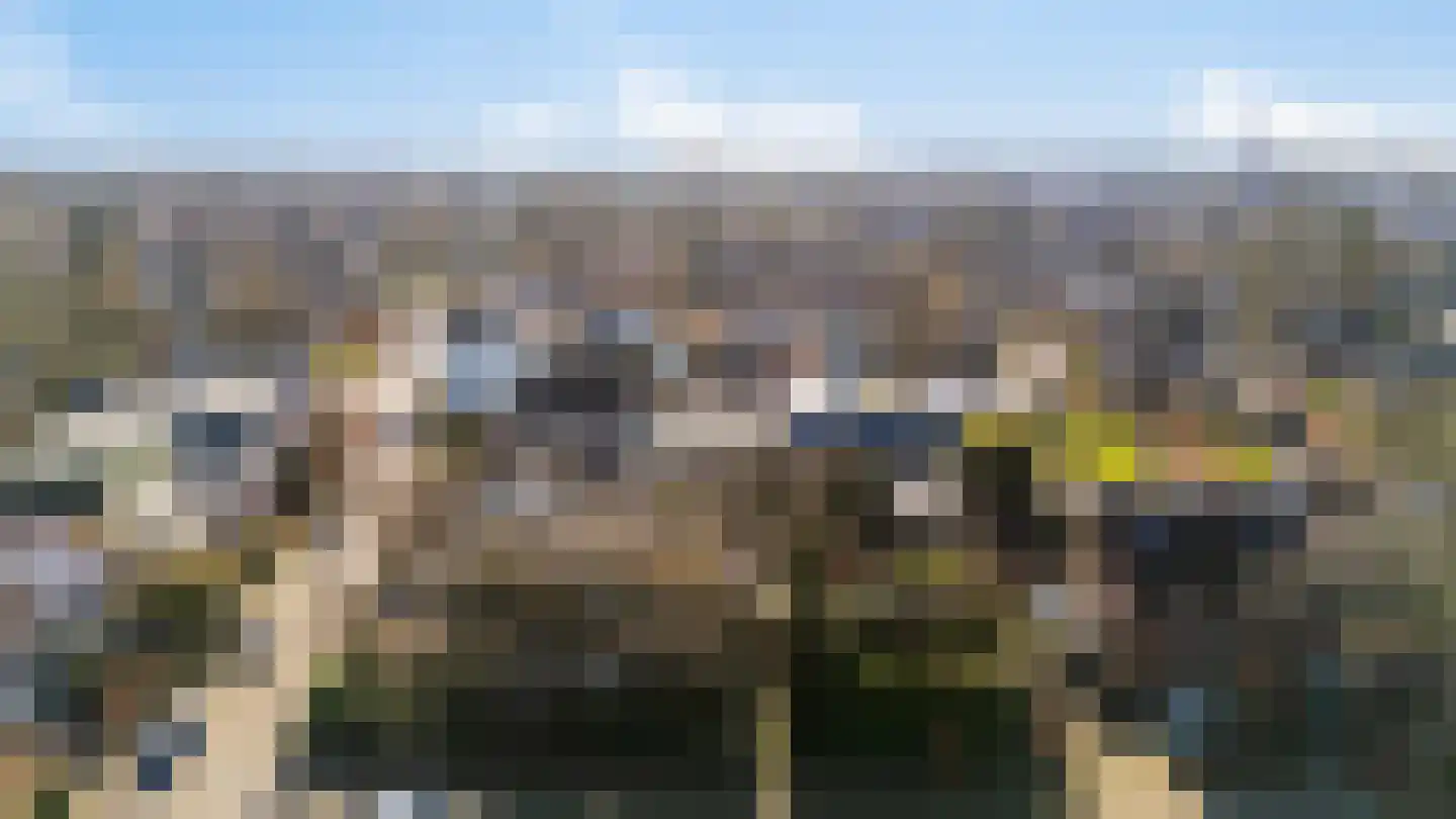 Bosweg 7 Velp thumbnail 44