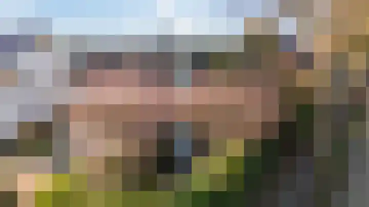 Bosweg 7 Velp thumbnail 8