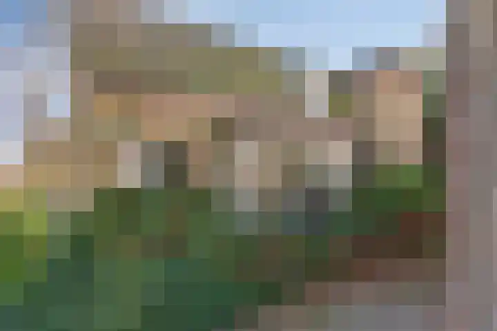 Bosweg 7 Velp thumbnail 9