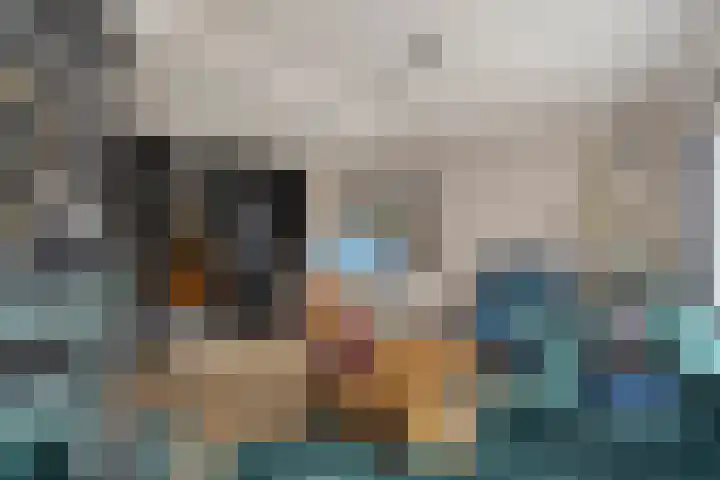 Bosweg 70 Gouda thumbnail 12