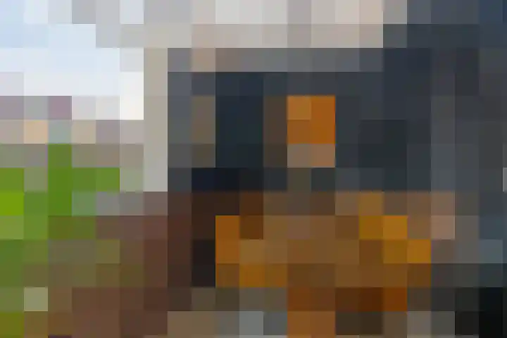 Bosweg 70 Gouda thumbnail 16