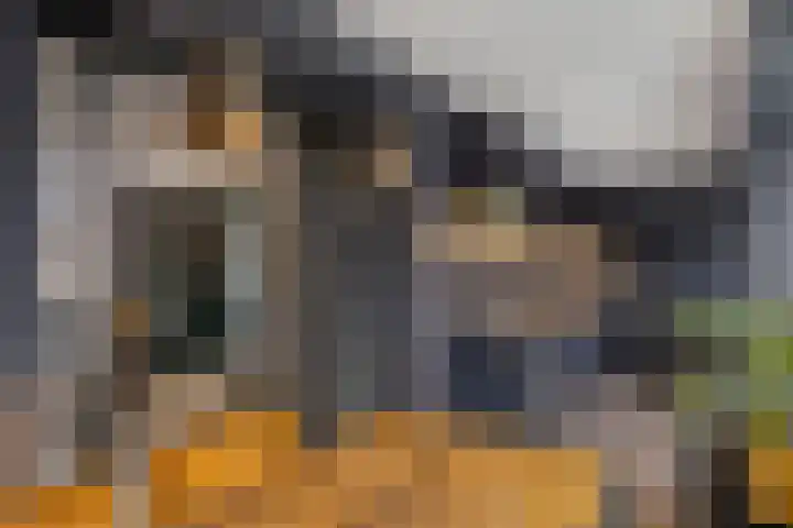 Bosweg 70 Gouda thumbnail 17