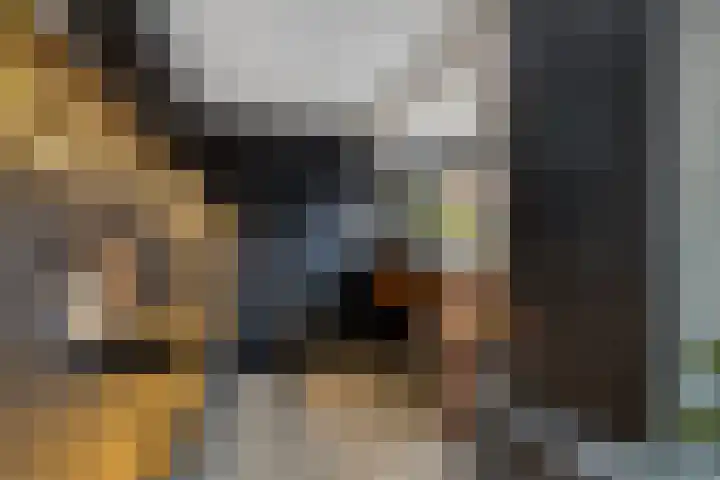 Bosweg 70 Gouda thumbnail 18