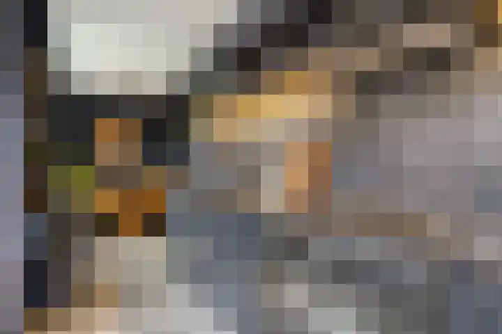 Bosweg 70 Gouda thumbnail 19