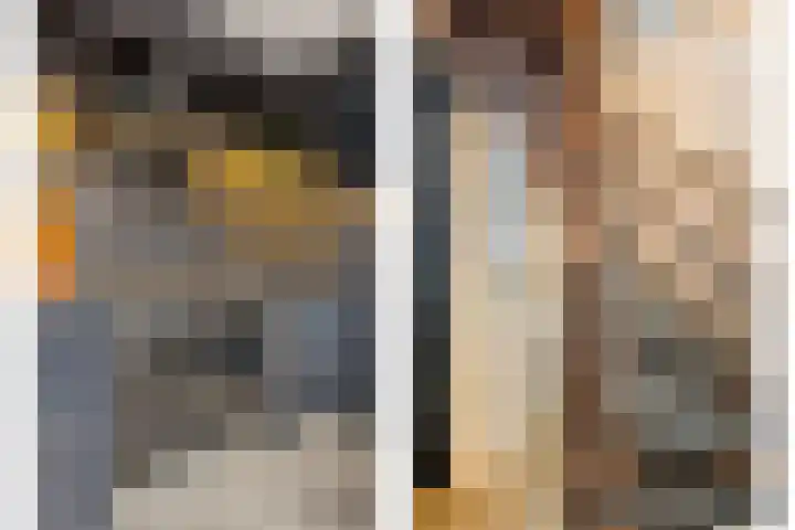 Bosweg 70 Gouda thumbnail 21
