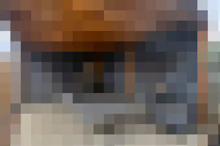 Bosweg 70 Gouda thumbnail 24