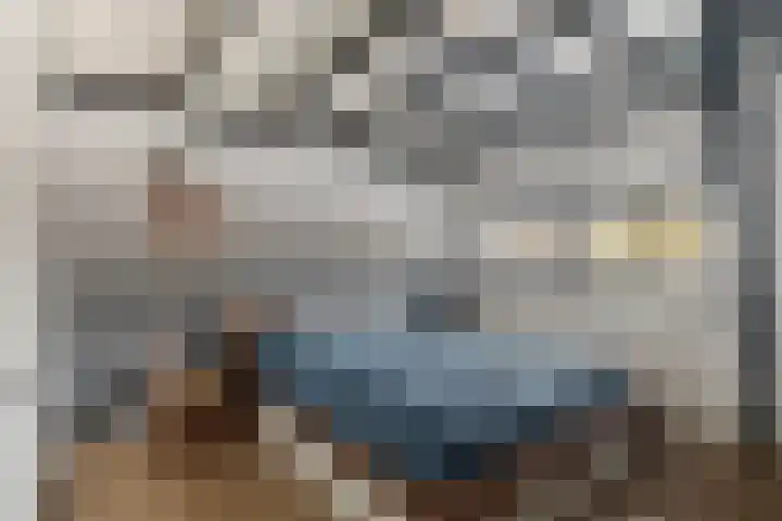 Bosweg 70 Gouda thumbnail 29