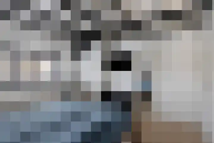 Bosweg 70 Gouda thumbnail 30