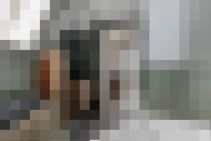 Bosweg 70 Gouda thumbnail 31