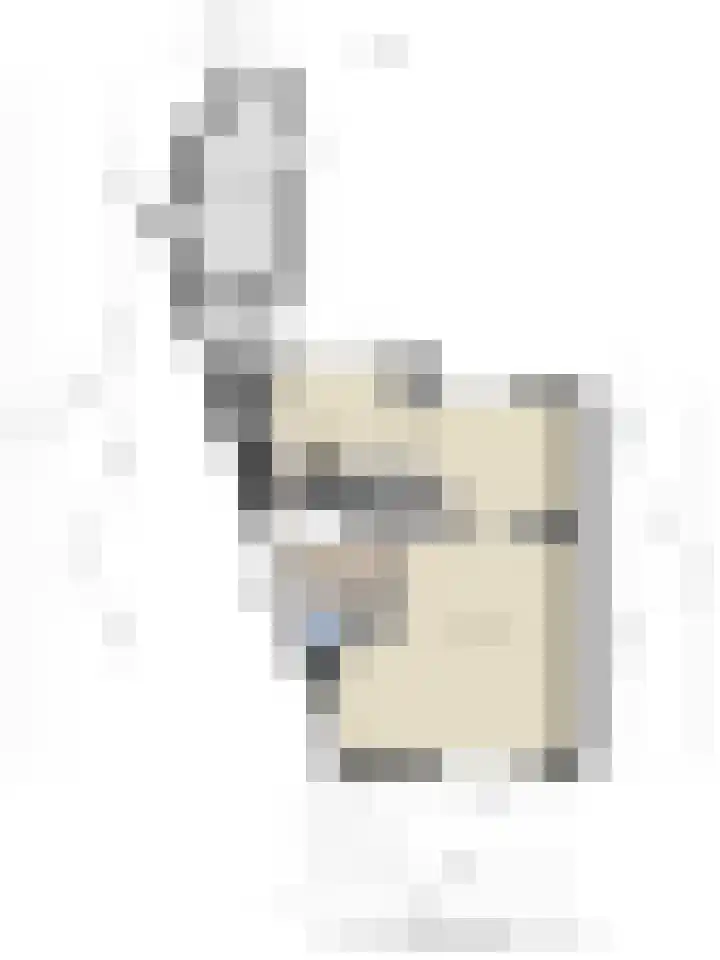 Bosweg 70 Gouda thumbnail 38
