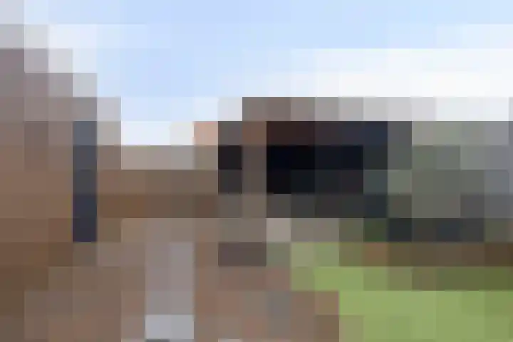 Bosweg 70 Gouda thumbnail 5