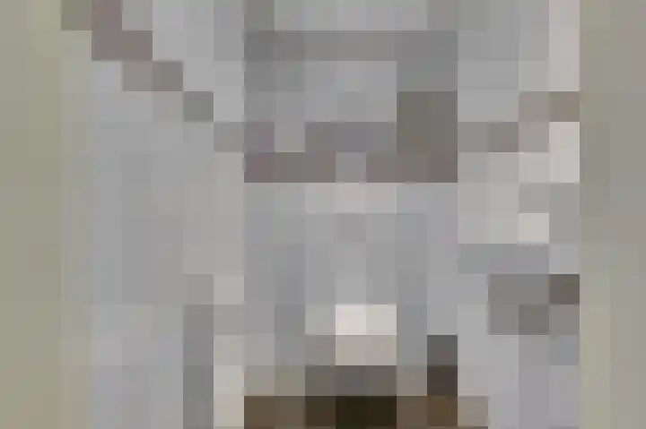 Bosweg 71 Strijen thumbnail 11