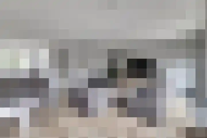 Bosweg 71 Strijen thumbnail 13