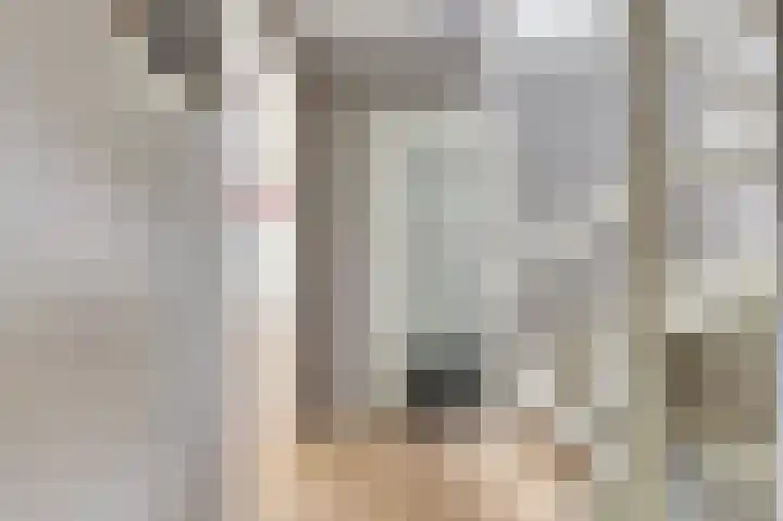 Bosweg 71 Strijen thumbnail 17
