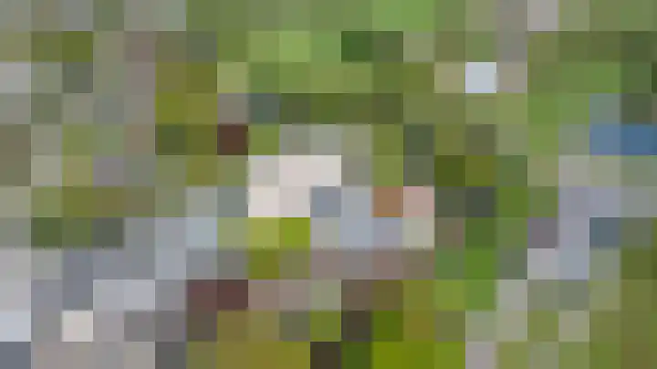Bosweg 71 Strijen thumbnail 18