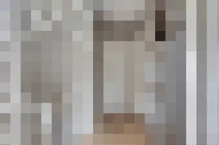 Bosweg 71 Strijen thumbnail 18