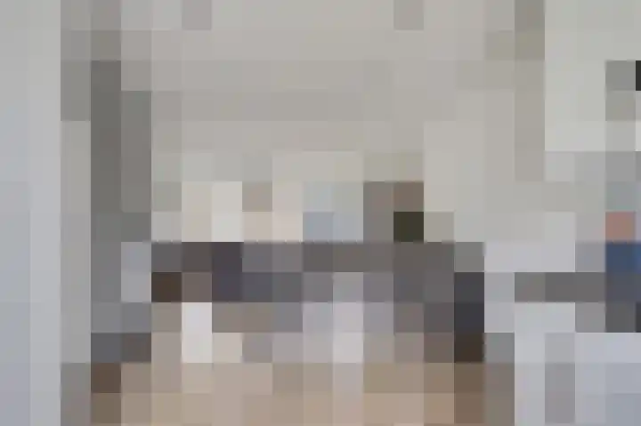 Bosweg 71 Strijen foto 2