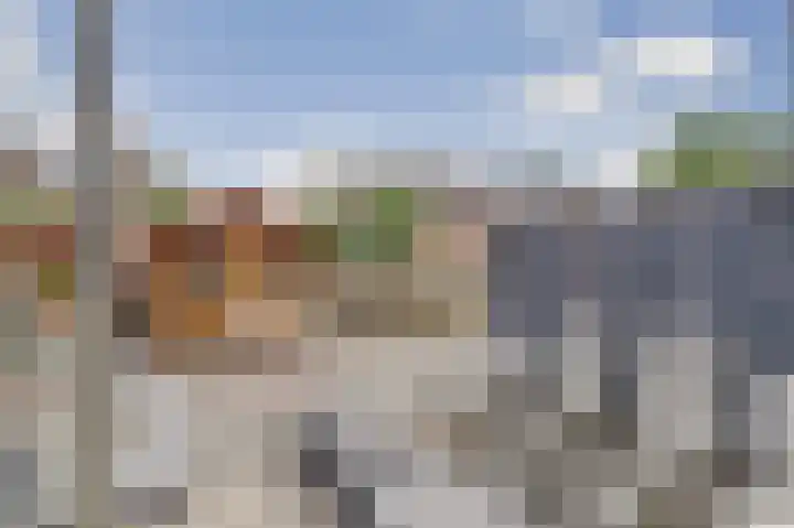 Bosweg 71 Strijen thumbnail 25
