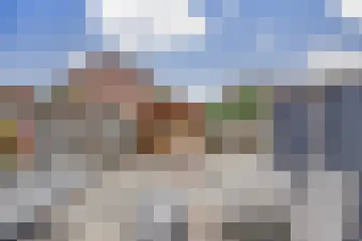 Bosweg 71 Strijen thumbnail 26