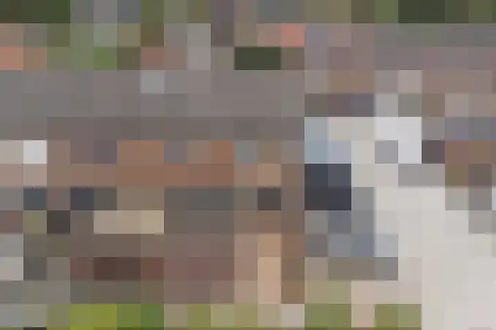 Bosweg 71 Strijen thumbnail 29