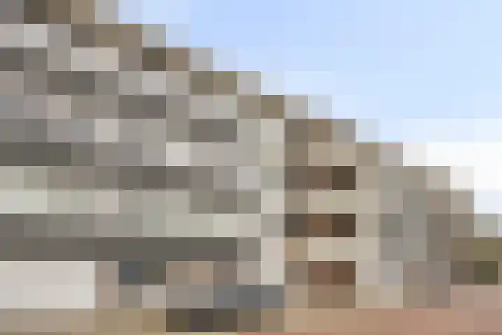 Bosweg 71 Strijen foto 3