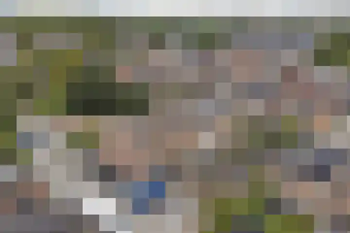 Bosweg 71 Strijen thumbnail 31
