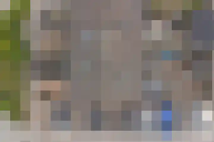 Bosweg 71 Strijen thumbnail 33